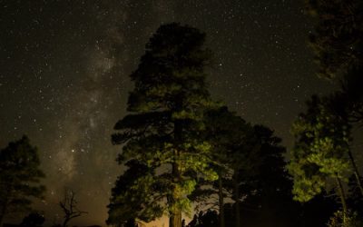 An important message to all campers out there…